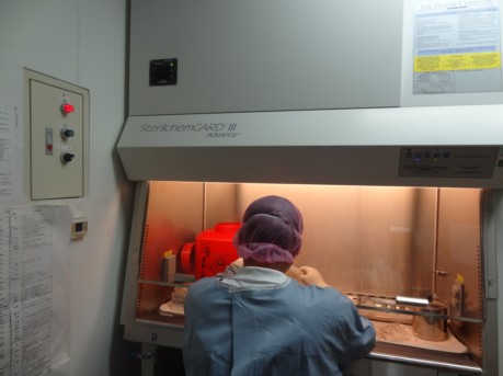 化療藥品調劑 化療藥品調劑