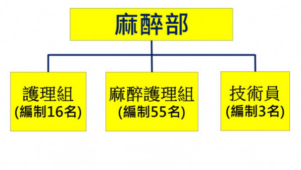 anes Introduction fill 596x336
