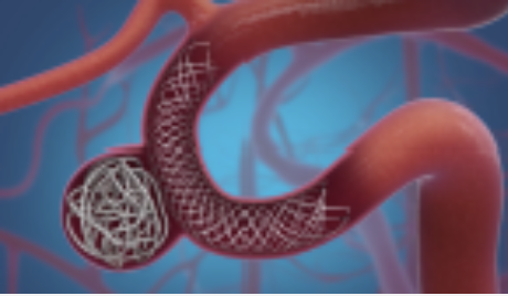 Screenshot 2025 08 14 at 2.41.36 PM