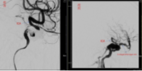 Screenshot 2025 08 14 at 2.42.02 PM