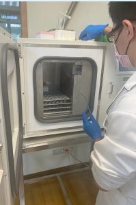 CAR-T免疫細胞療法