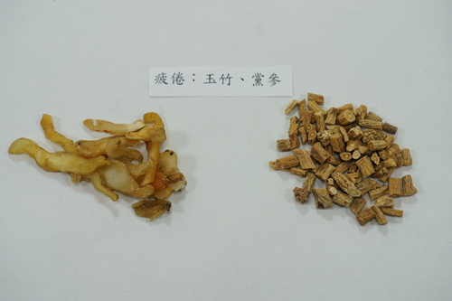 疲倦可用中藥玉竹、黨參緩解