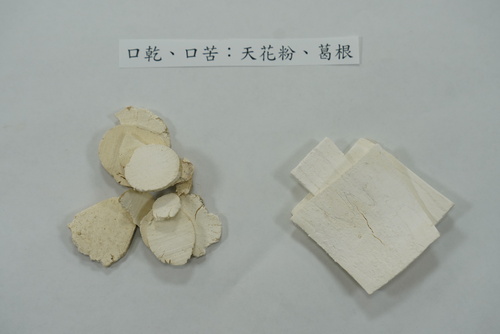 口乾口苦可用天花粉、葛根緩解