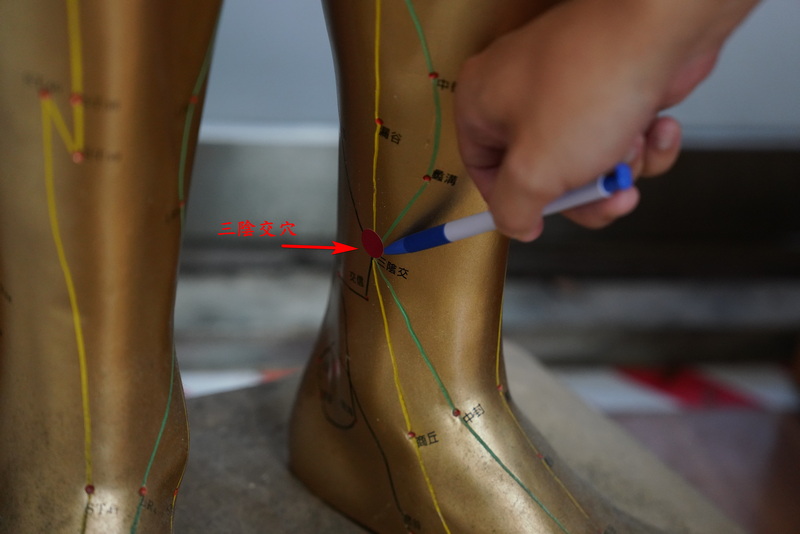 足部的「三陰交」穴