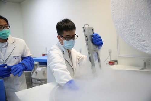 將CAR-T細胞出庫後送往二一東骨髓移植病房，經過解凍、核對等程序1