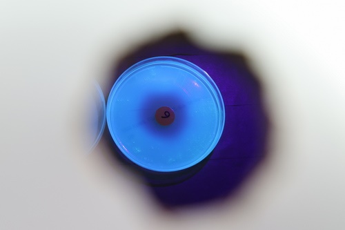 img 3