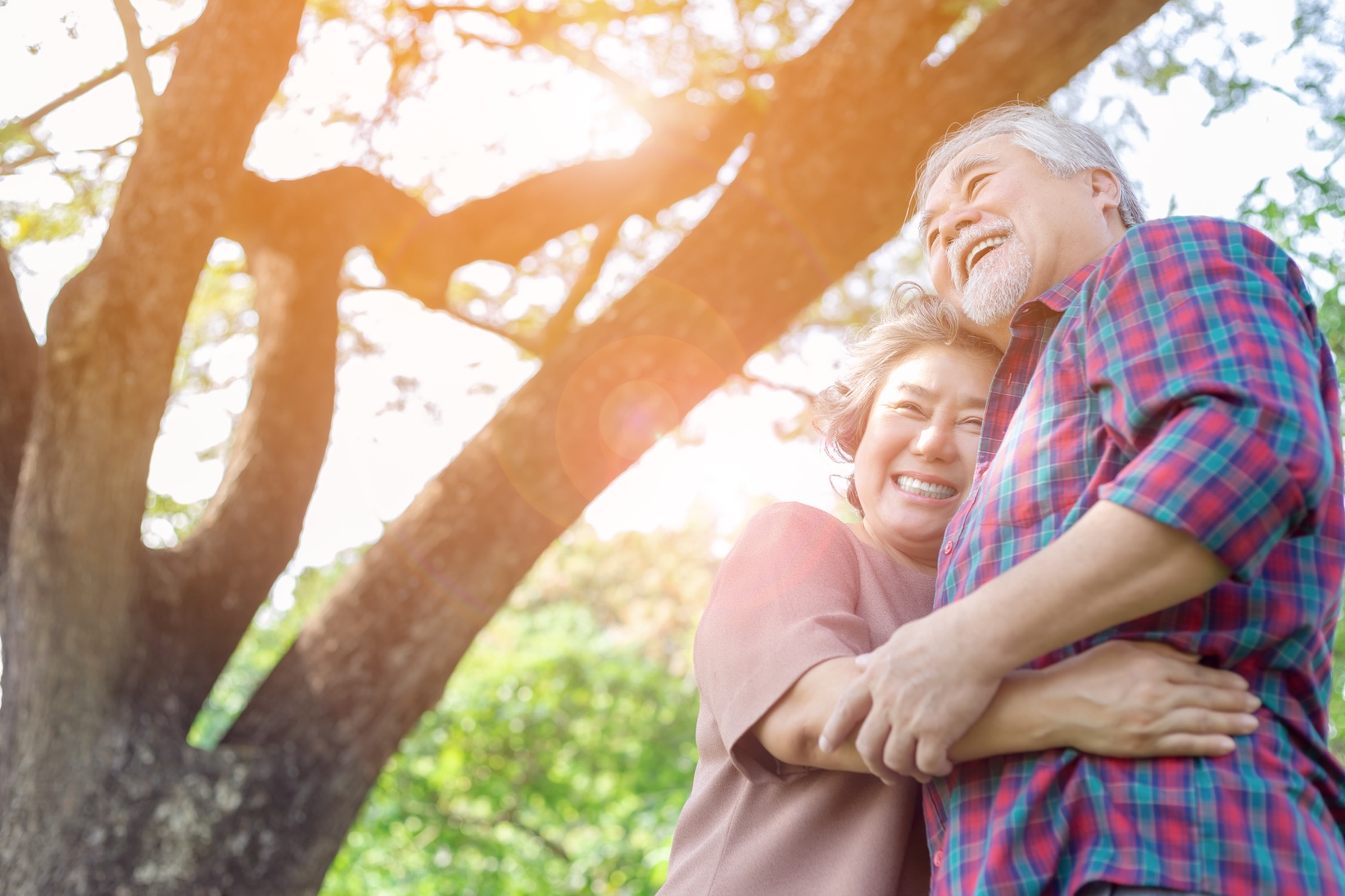 Portrait happiness older couple. Charming grandfather and grandmother is embracing each other with love and smiley faces in a park. Grandparents have good health and enjoy their life with sunlight