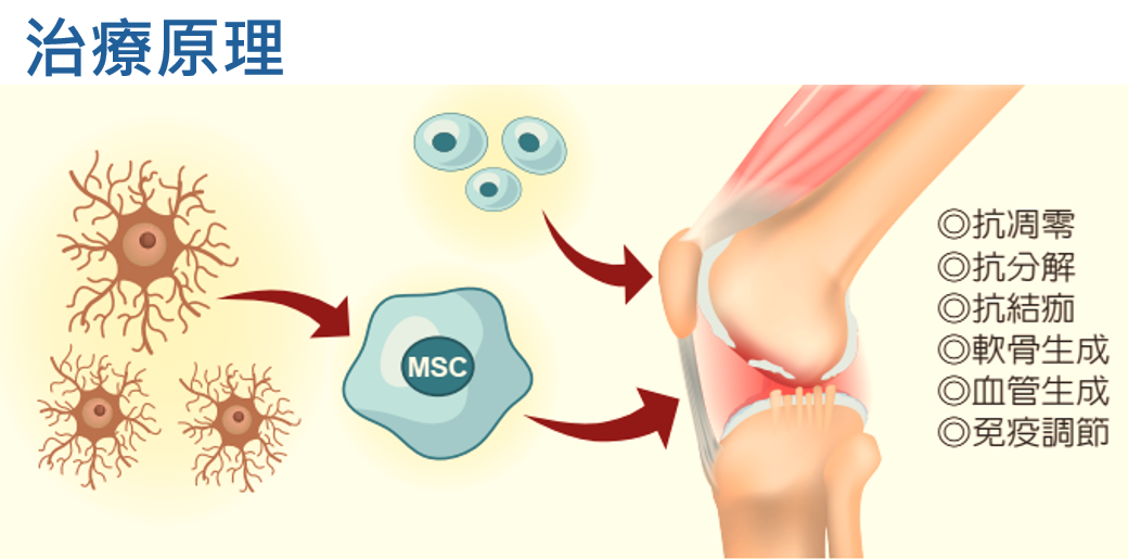 Screenshot 2025 03 03 144835