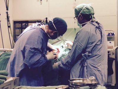 2015/08/15花蓮慈院溫馨座談日誌(四)─ ─心血灌溉菩提新芽 護理傳承守護家鄉