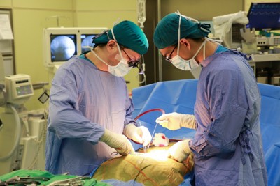 醫療之愛用心耕 守護生命不辭苦