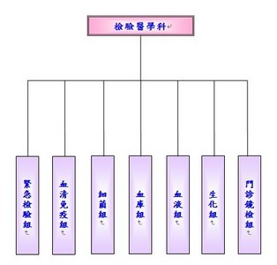 觀察入微守護生命　他們是「醫檢師」！