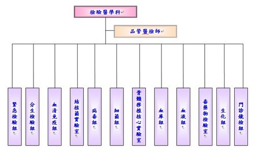 觀察入微守護生命　他們是「醫檢師」！