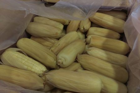 2017/06/24花蓮慈院日誌--職志合一耕福田 千尊菩薩為評鑑加分