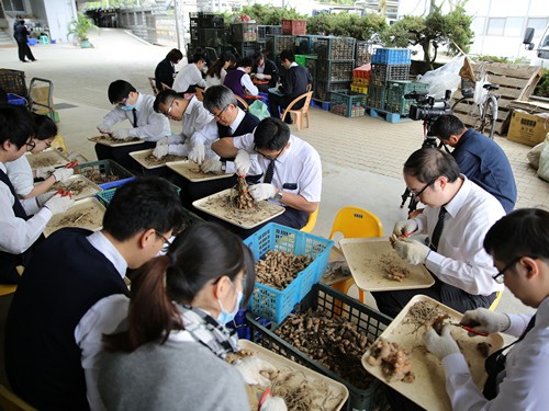 107年度醫醫師合心共識營 品質提升人才培育