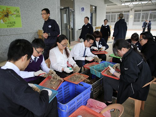 107年度醫醫師合心共識營 品質提升人才培育