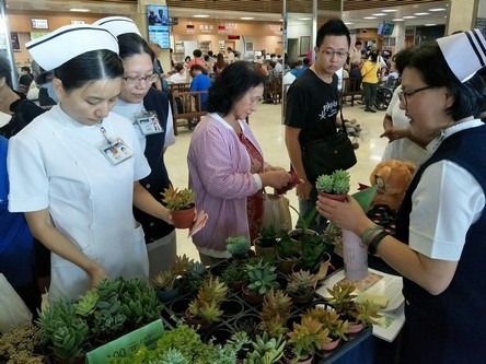 2018/10/08花蓮慈濟醫院日誌——「印」照「尼」我心 花蓮真情膚震殤用行動響應
