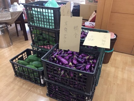 2018/10/08花蓮慈濟醫院日誌——「印」照「尼」我心 花蓮真情膚震殤用行動響應