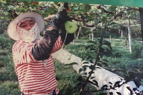 20190410慈濟骨髓幹細胞中心日誌——捐髓行善又行孝　圓滿癌母返鄉願