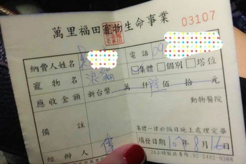 2019/04/30慈濟骨髓幹細胞中心日誌——慈中學子的慈悲 海軍陸戰隊的勇氣