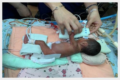 2019/05/15 花蓮慈院《守護生命 從早到晚 從小到老》溫馨座談日誌(三之二)─ ─花開見果擔使命 拔苦予樂步生蓮