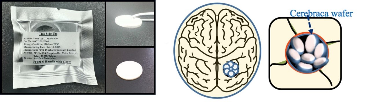 標靶新藥物Cerebraca ® wafer 標靶新藥物Cerebraca ® wafer