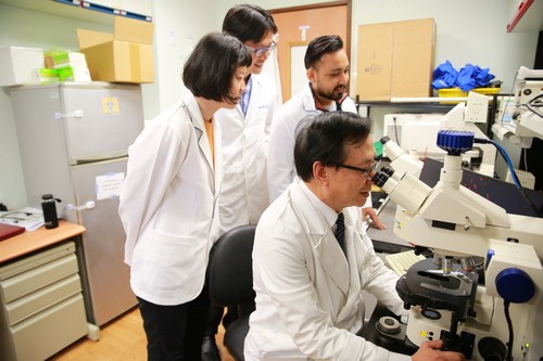 眼睛視網膜再生　花蓮慈院幹細胞技術新突破