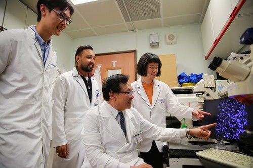 眼睛視網膜再生　花蓮慈院幹細胞技術新突破