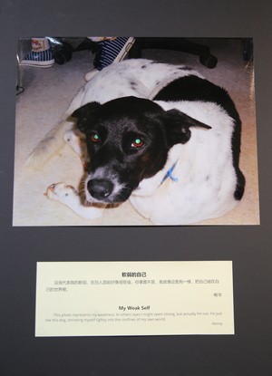 花蓮慈濟醫院「伸出援手前，請先了解他」攝影展揭幕