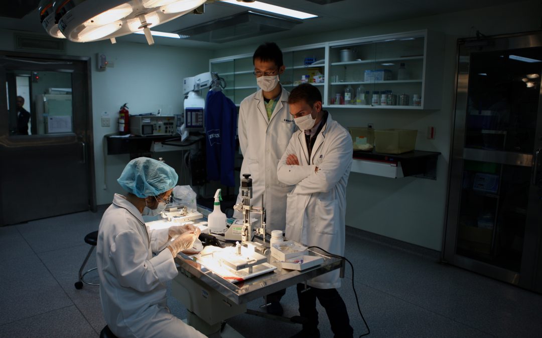 Friend from Ophthalmos Research and Educational Institute, Cyprus