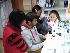 Training course for Immunohistochemical (IHC) Staining