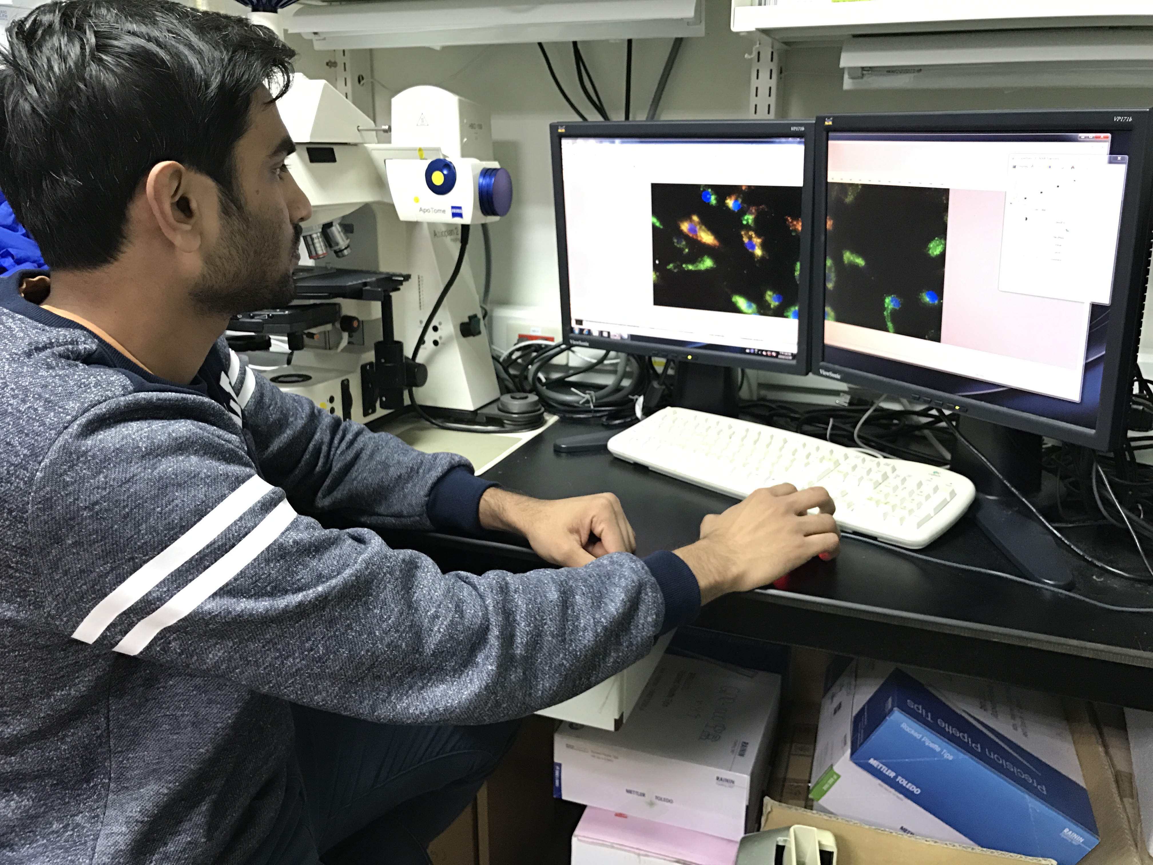 OCT and retinal imaging  acquisition system