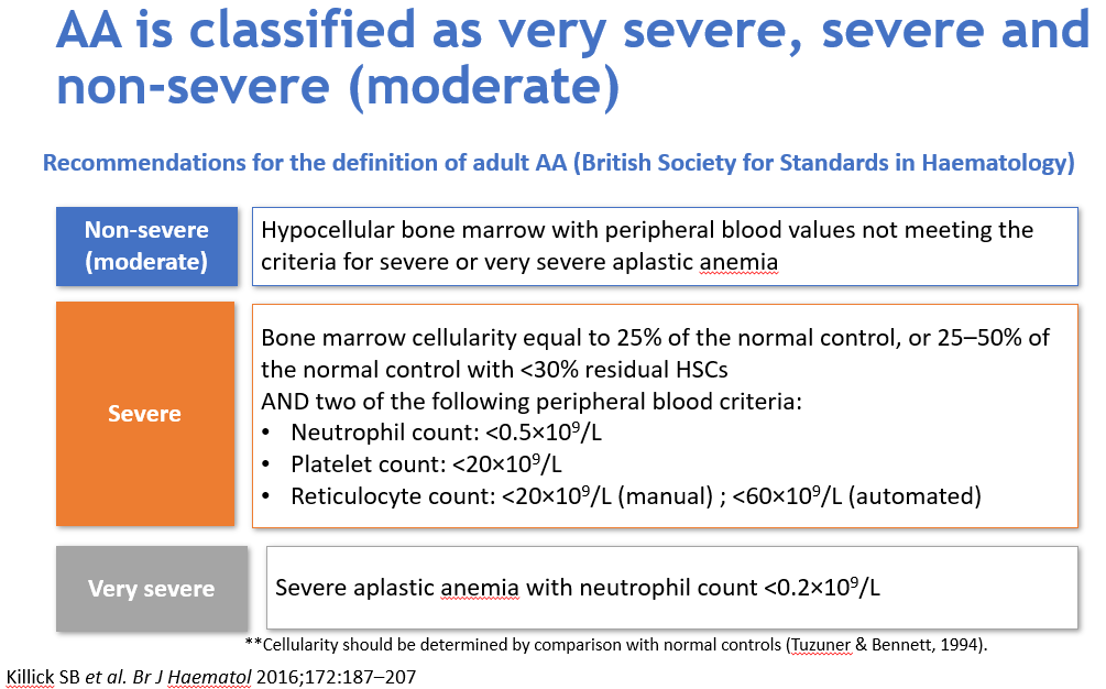 血液腫瘤科黃威翰醫師介紹再生不良性貧血之最新治療