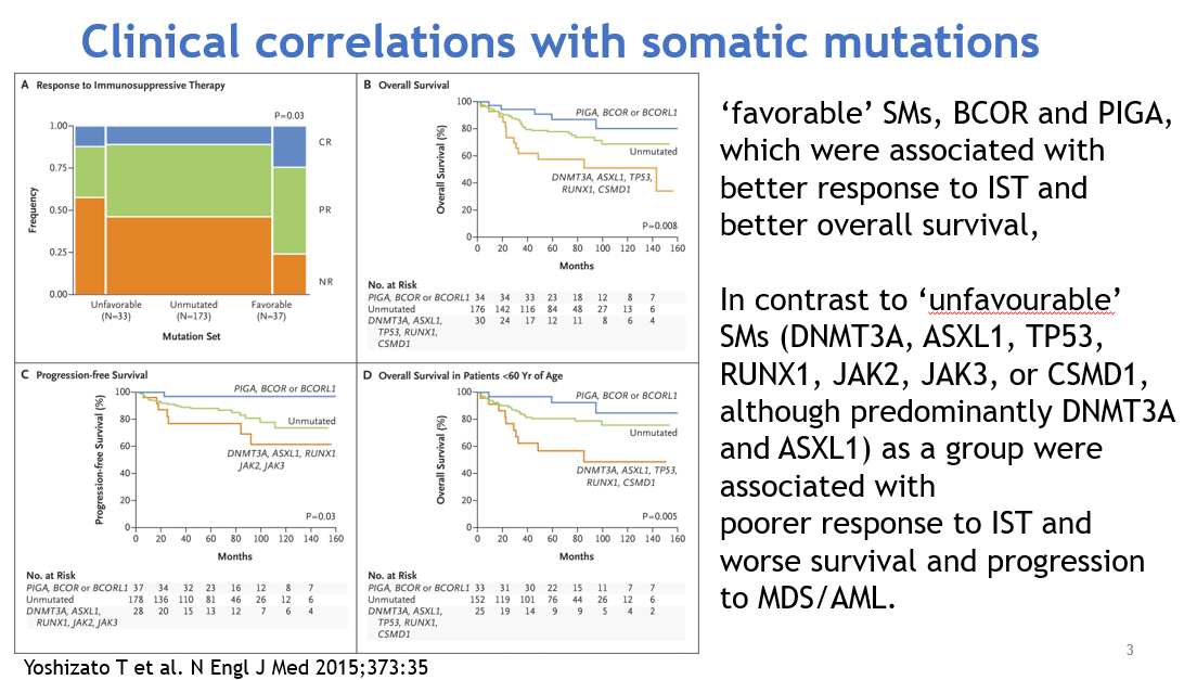 血液腫瘤科黃威翰醫師介紹再生不良性貧血之最新治療