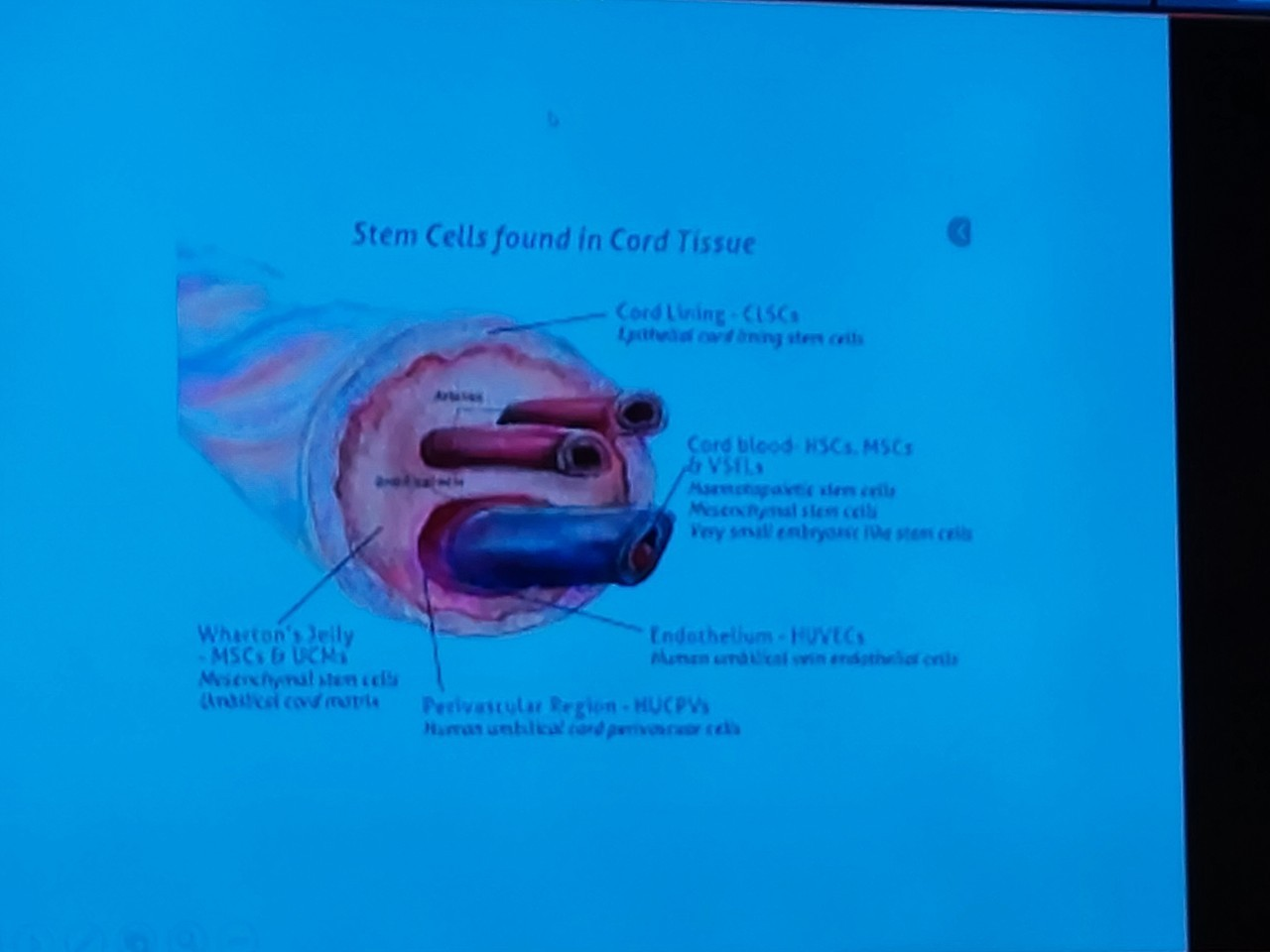 右圖：6/2講者骨髓幹細胞中心楊國梁主任，精心製作簡報與新南向友國醫師、護理師一同分享。