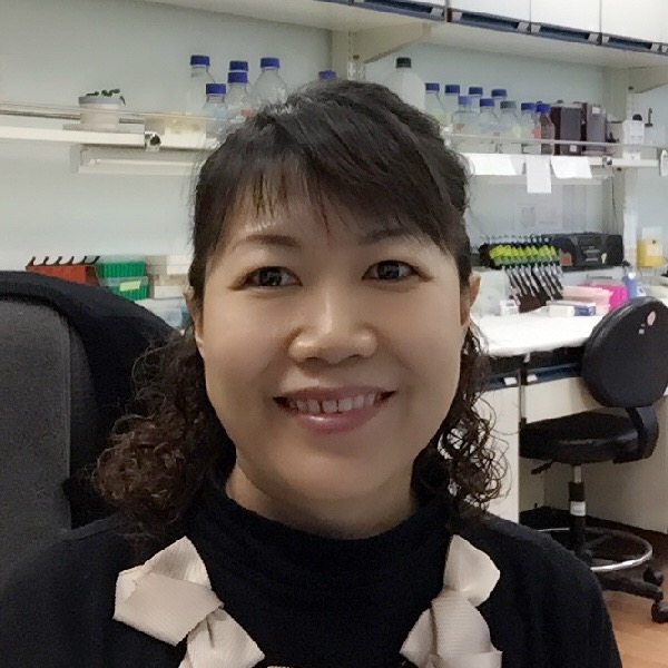 Sample image IMG 2753