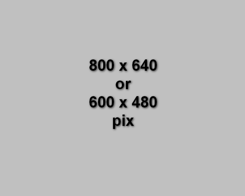 醫師團隊 醫師團隊